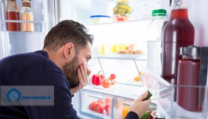 بوی بد یخچال امرسان