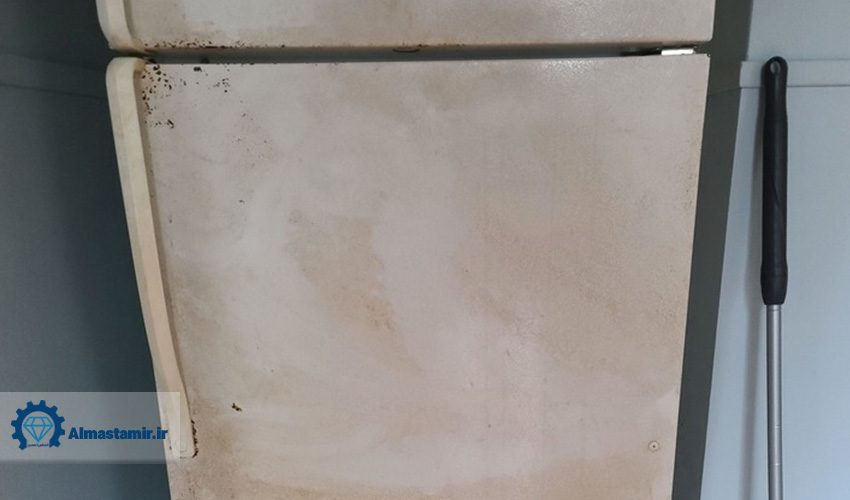 پوسیدگی درب یخچال و روشهای ترمیم آن