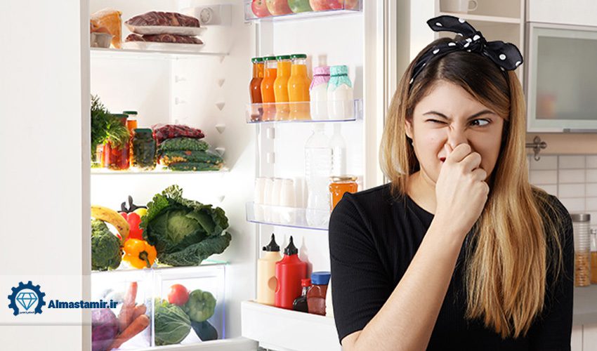 بوی بد یخچال جنرال بست ناشی از چیست؟