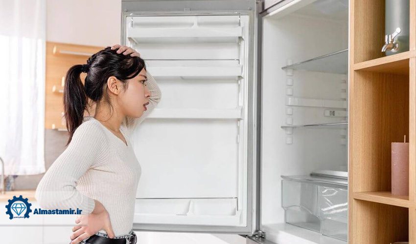 تعمیر و عیب یابی یخچال بلومبرگ