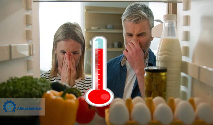 گرم شدن مواد غذایی در یخچال